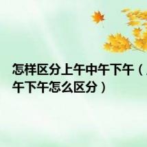 怎样区分上午中午下午(上午中午下午怎么区分)