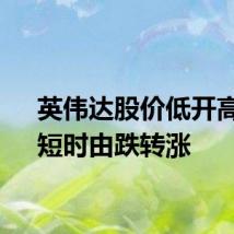英伟达股价低开高走，短时由跌转涨