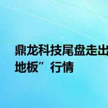 鼎龙科技尾盘走出“天地板”行情