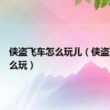 侠盗飞车怎么玩儿(侠盗飞车怎么玩)