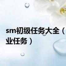 sm初级任务大全(sm职业任务)