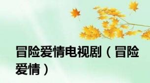 冒险爱情电视剧（冒险爱情）