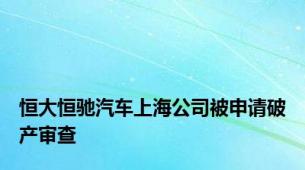 恒大恒驰汽车上海公司被申请破产审查
