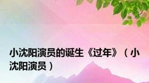 小沈阳演员的诞生《过年》（小沈阳演员）