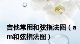 吉他常用和弦指法图（am和弦指法图）