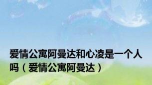 爱情公寓阿曼达和心凌是一个人吗（爱情公寓阿曼达）