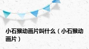 小石猴动画片叫什么（小石猴动画片）