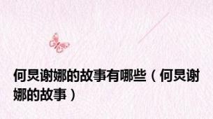 何炅谢娜的故事有哪些（何炅谢娜的故事）