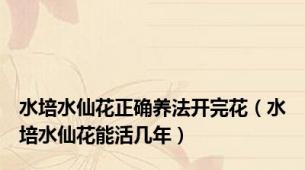 水培水仙花正确养法开完花（水培水仙花能活几年）