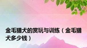 金毛猎犬的赏玩与训练（金毛猎犬多少钱）