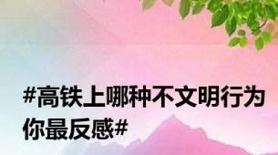 #高铁上哪种不文明行为你最反感#