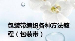 包装带编织各种方法教程（包装带）