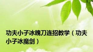 功夫小子冰魄刀连招教学（功夫小子冰魔剑）