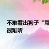 不难看出狗子“骂”得很难听