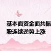 基本面资金面共振，24股连续逆势上涨