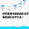 好听富有诗意的战队名字（有诗意的战队名字大全）