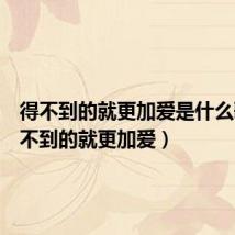得不到的就更加爱是什么歌(得不到的就更加爱)