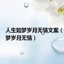 人生如梦岁月无情文案(人生如梦岁月无情)