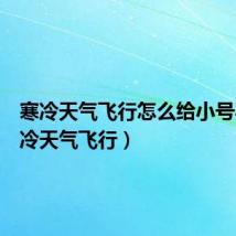 寒冷天气飞行怎么给小号买(寒冷天气飞行)