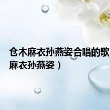仓木麻衣孙燕姿合唱的歌(仓木麻衣孙燕姿)