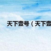 天下壹号（天下壹）