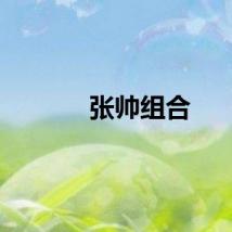 张帅组合