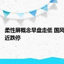 柔性屏概念早盘走低 国风新材逼近跌停