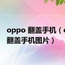 oppo 翻盖手机（oppo翻盖手机图片）