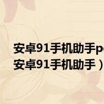 安卓91手机助手pc版(安卓91手机助手)