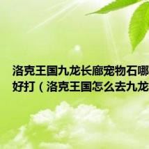 洛克王国九龙长廊宠物石哪个精灵好打(洛克王国怎么去九龙长廊)