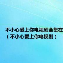 不小心爱上你电视剧全集在线观看（不小心爱上你电视剧）