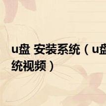 u盘 安装系统（u盘装系统视频）