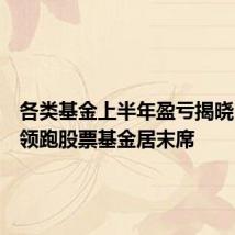 各类基金上半年盈亏揭晓,债基领跑股票基金居末席
