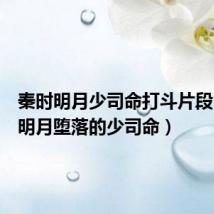 秦时明月少司命打斗片段(秦时明月堕落的少司命)