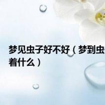 梦见虫子好不好(梦到虫子预示着什么)