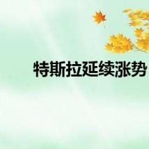 特斯拉延续涨势