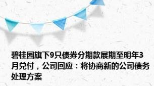 碧桂园旗下9只债券分期款展期至明年3月兑付，公司回应：将协商新的公司债务处理方案