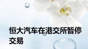 恒大汽车在港交所暂停交易