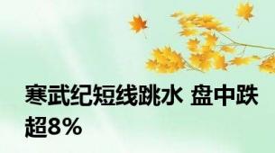 寒武纪短线跳水 盘中跌超8%