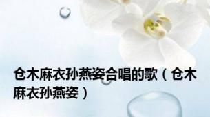 仓木麻衣孙燕姿合唱的歌（仓木麻衣孙燕姿）