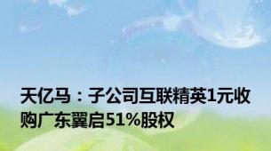天亿马：子公司互联精英1元收购广东翼启51%股权