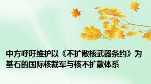 中方呼吁维护以《不扩散核武器条约》为基石的国际核裁军与核不扩散体系