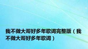 我不做大哥好多年歌词完整版（我不做大哥好多年歌词）