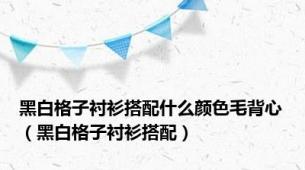 黑白格子衬衫搭配什么颜色毛背心（黑白格子衬衫搭配）