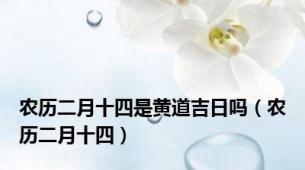 农历二月十四是黄道吉日吗（农历二月十四）