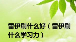 雷伊刷什么好（雷伊刷什么学习力）