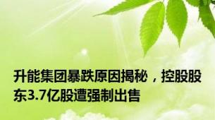 升能集团暴跌原因揭秘，控股股东3.7亿股遭强制出售