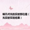 瞳孔对光的反射部位是（瞳孔对光反射实验结果）