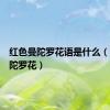 红色曼陀罗花语是什么（红色曼陀罗花）