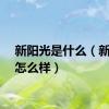 新阳光是什么（新阳光怎么样）